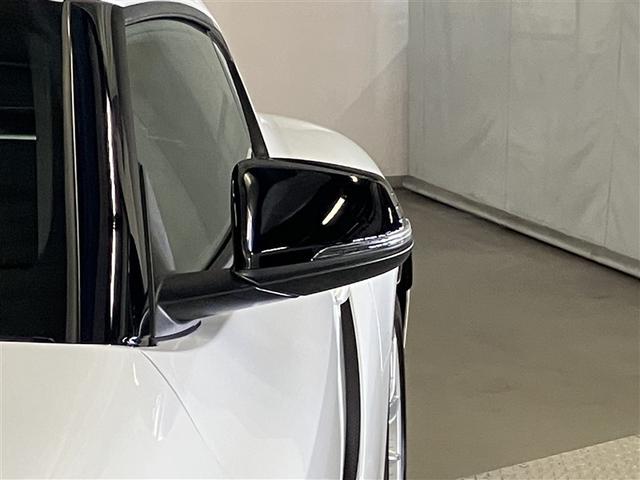 ����ȃh�A�~���[�B