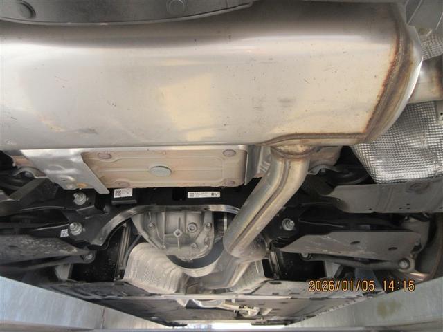 �K�╅�H���Ȃ����ꂢ�ȏ�Ԃł��B�܂��܂����S���Ă���肢�������܂��B