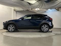 ���Τ��礭�����ꤷ�Ƥ���Τǡ���꿴�Ϥ��ɤ��Ǥ��衪 4