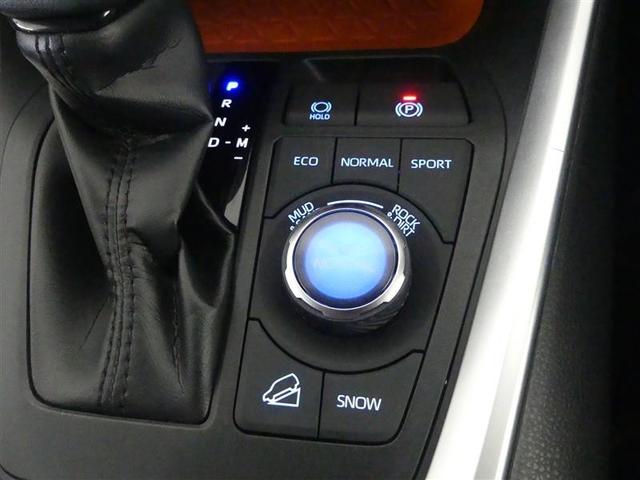ＲＡＶ４ アドベンチャー　４ＷＤ　フルセグ　メモリーナビ　ＤＶＤ再生　バックカメラ　衝突被害軽減システム　ＥＴＣ　ドラレコ　ＬＥＤヘッドランプ　ワンオーナー（23枚目）