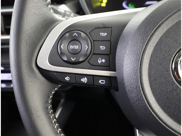 ライズ Ｚ　フルセグ　メモリーナビ　ＤＶＤ再生　バックカメラ　衝突被害軽減システム　ＥＴＣ　ＬＥＤヘッドランプ　ワンオーナー（22枚目）