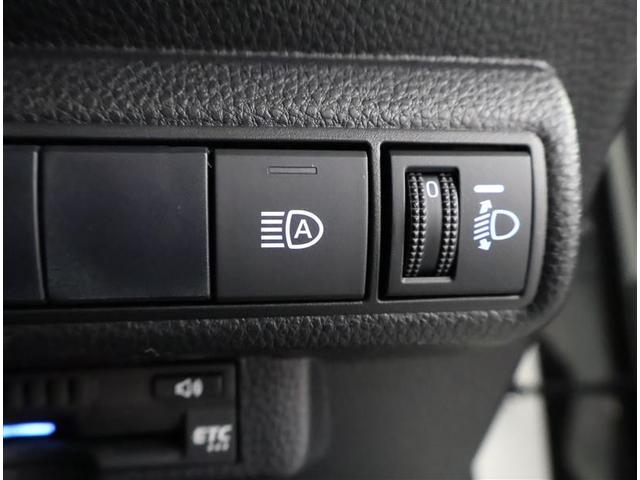 ��ԑ��s�ɖ𗧂I�[�g�}�`�b�N�E�n�C�r�[���B