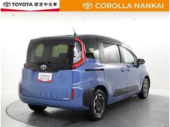 ������ �ڡ��ե륻�������꡼�ʥӡ��Хå�����顡�����ﳲ�ڸ������ƥ� 0701465A20260124T002 3