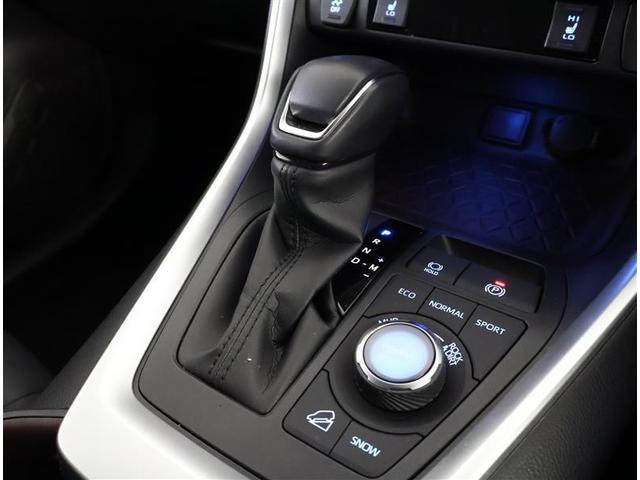 ＲＡＶ４ Ｇ　Ｚパッケージ　４ＷＤ　フルセグ　メモリーナビ　ＤＶＤ再生　バックカメラ　衝突被害軽減システム　ＥＴＣ　ＬＥＤヘッドランプ　ワンオーナー（23枚目）