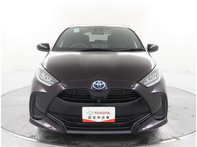 �{�f�B�J���[�͐l�C�̃{���h�[�}�C�J���^���b�N�ł��B