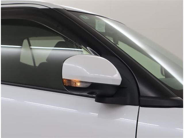 �h�A�~���[�ɃE�B���J�[�����Ă���̂ŕ��s�҂���������₷���ł���