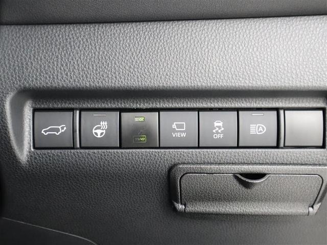 �I�[�g�}�`�b�N�n�C�r�[���́A�Ό��Ԃ��s�Ԃ�������A�����Ń��[�r�[���ɐ؂�ւ��Ă���܂�