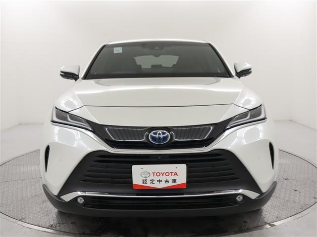 ������]�̂��Ԃ������Ă��A����]�̑����E�N���E���s�������Ō������A���Ȃ��Ƀs�b�^���̂P������T���v���܂���