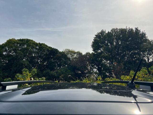 デリカミニ Ｔ　プレミアム　リミテッドエディション　アラウンドビューモニター　ナビ　ＴＶ　バックモニター　ダウンヒルアシストコントロール　ステアリングヒーター　シートヒーター　レーダークルーズコントロール　車線維持支援機能　オートマチック　スマートキー（48枚目）