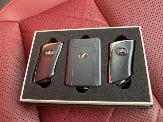 NX NX250バージョンL 新品タイヤ/サンルーフ/純正エアロ/保証書/純正 SDナビ/衝突安全装置/シートエアコン/パノラミックビューモニター/車線逸脱防止支援システム/シート フルレザー 革シート 衝突被害軽減システム(17枚目)