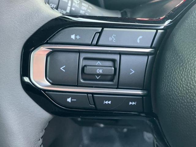 スペーシアカスタム ハイブリッドXS 保証書/両側電動スライドドア/シートヒーター/車線逸脱防止支援システム/シート ハーフレザー/ヘッドランプ LED/EBD付ABS/横滑り防止装置/アイドリングストップ/クルーズコントロール(30枚目)