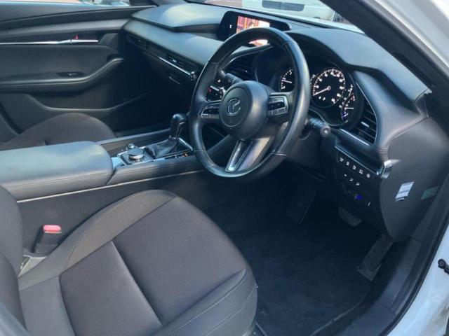 �u���̎Ԃ̎ʐ^�������ƌ������v�u��Ԃ��C�ɂȂ�v�u���̑����͂��Ă���H�v�ǂ�ȏ����ȋ^��ł����C�y�ɂ��₢���킹���������I