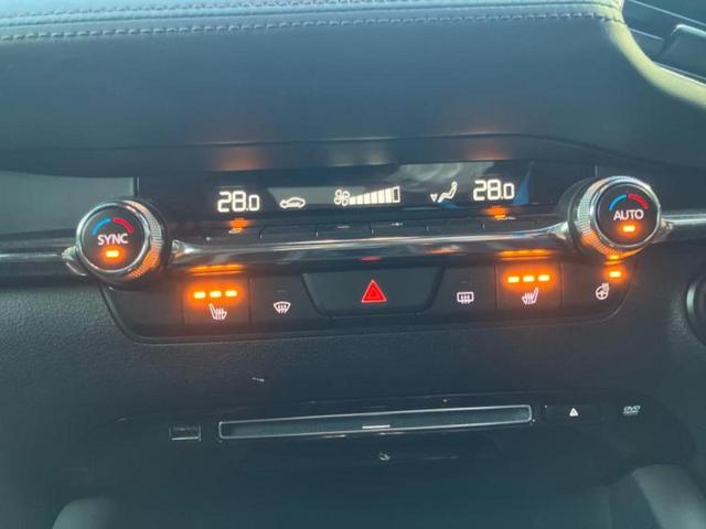 �u���̎Ԃ̎ʐ^�������ƌ������v�u��Ԃ��C�ɂȂ�v�u���̑����͂��Ă���H�v�ǂ�ȏ����ȋ^��ł����C�y�ɂ��₢���킹���������I