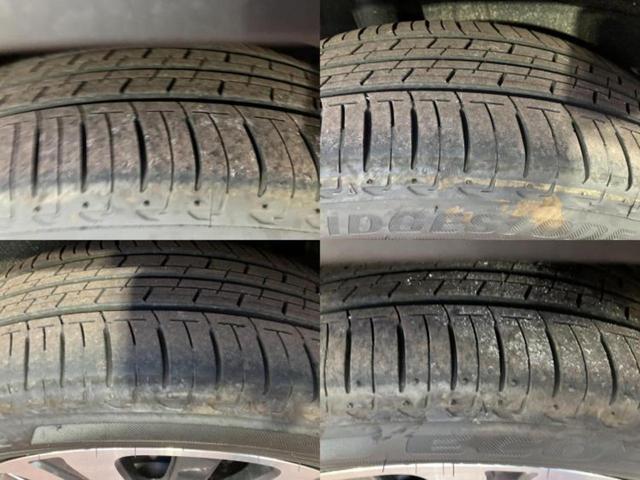 �u���̎Ԃ̎ʐ^�������ƌ������v�u��Ԃ��C�ɂȂ�v�u���̑����͂��Ă���H�v�ǂ�ȏ����ȋ^��ł����C�y�ɂ��₢���킹���������I