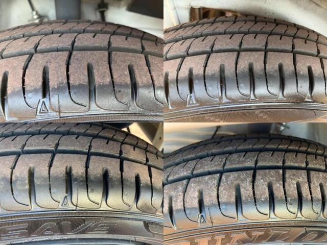 �u���̎Ԃ̎ʐ^�������ƌ������v�u��Ԃ��C�ɂȂ�v�u���̑����͂��Ă���H�v�ǂ�ȏ����ȋ^��ł����C�y�ɂ��₢���킹���������I