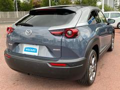 �����Ź�ޤ�Ÿ�����Ƥ���ΤǤɤ��Ǥ⤪���󤻤���ǽ�Ǥ������μ֤����ˤʤ뤱�ɱ��������顦�����������ɬ�פϤ���ޤ��󡪢�����Φ����ɬ�פǤ��� 3