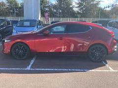 �ףţã��ңӤκ߸˥ڡ������������������ˤ��꤬�Ȥ��������ޤ����ףţã��ңӤϡ֤��������פ��åȡ��ˤ����ͤΥ����饤�դ����Ϥǥ��ݡ��Ȥ������ޤ��� 2