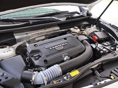 ư֣ףţӣŹǤŹ߸ˤĺˤ꤬Ȥޤ 7