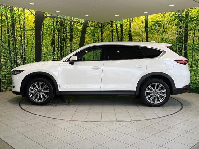 ＣＸ－８ ２５Ｓ　プロアクティブ　純正８型ナビ　後席モニター　ＢＯＳＥサウンド　全周囲カメラ　衝突被害軽減システム　レーダークルーズ　禁煙車　電動リアゲート　ドラレコ　コーナーセンサー　スマートキー　ＬＥＤヘッド　ＥＴＣ（29枚目）