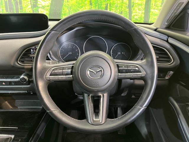 CX-30 20S プロアクティブ 純正8型SDナビ 全周囲カメラ BOSEサウンド 衝突被害軽減システム レーダークルーズ 禁煙車 電動リアゲート ドラレコ コーナーセンサー スマートキー LEDヘッド ビルトインETC(11枚目)