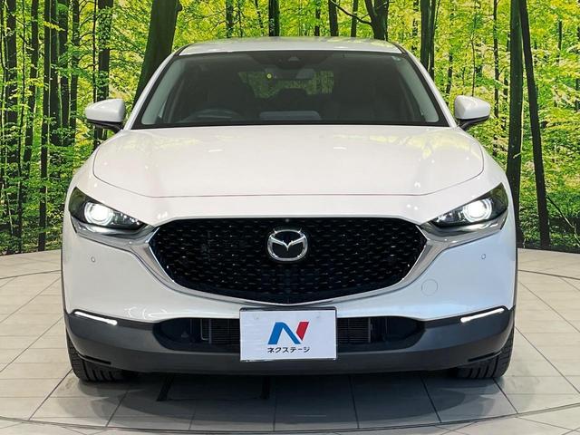 CX-30 20S プロアクティブ 純正8型SDナビ 全周囲カメラ BOSEサウンド 衝突被害軽減システム レーダークルーズ 禁煙車 電動リアゲート ドラレコ コーナーセンサー スマートキー LEDヘッド ビルトインETC(14枚目)