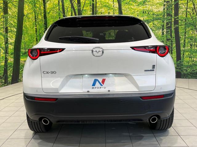 CX-30 20S プロアクティブ 純正8型SDナビ 全周囲カメラ BOSEサウンド 衝突被害軽減システム レーダークルーズ 禁煙車 電動リアゲート ドラレコ コーナーセンサー スマートキー LEDヘッド ビルトインETC(15枚目)