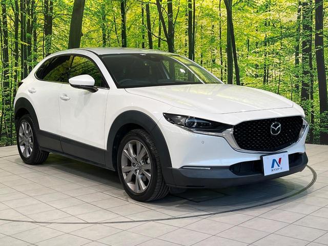 CX-30 20S プロアクティブ 純正8型SDナビ 全周囲カメラ BOSEサウンド 衝突被害軽減システム レーダークルーズ 禁煙車 電動リアゲート ドラレコ コーナーセンサー スマートキー LEDヘッド ビルトインETC(16枚目)
