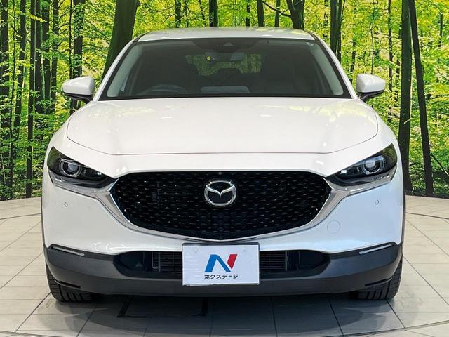CX-30 20S プロアクティブ 純正8型SDナビ 全周囲カメラ BOSEサウンド 衝突被害軽減システム レーダークルーズ 禁煙車 電動リアゲート ドラレコ コーナーセンサー スマートキー LEDヘッド ビルトインETC(49枚目)