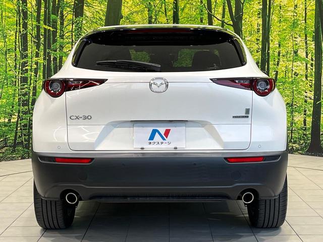 CX-30 20S プロアクティブ 純正8型SDナビ 全周囲カメラ BOSEサウンド 衝突被害軽減システム レーダークルーズ 禁煙車 電動リアゲート ドラレコ コーナーセンサー スマートキー LEDヘッド ビルトインETC(52枚目)