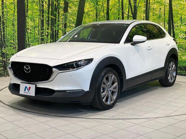 CX-30 20S プロアクティブ 純正8型SDナビ 全周囲カメラ BOSEサウンド 衝突被害軽減システム レーダークルーズ 禁煙車 電動リアゲート ドラレコ コーナーセンサー スマートキー LEDヘッド ビルトインETC(54枚目)