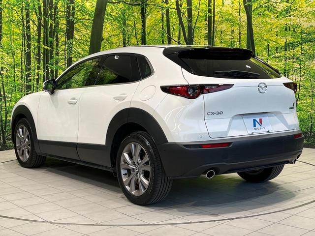CX-30 20S プロアクティブ 純正8型SDナビ 全周囲カメラ BOSEサウンド 衝突被害軽減システム レーダークルーズ 禁煙車 電動リアゲート ドラレコ コーナーセンサー スマートキー LEDヘッド ビルトインETC(55枚目)