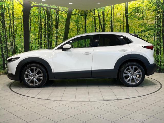 CX-30 20S プロアクティブ 純正8型SDナビ 全周囲カメラ BOSEサウンド 衝突被害軽減システム レーダークルーズ 禁煙車 電動リアゲート ドラレコ コーナーセンサー スマートキー LEDヘッド ビルトインETC(57枚目)