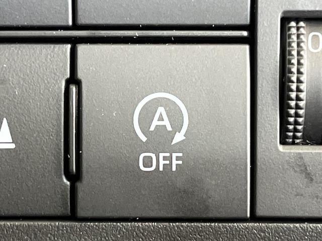 ライズ X 純正9インチディスプレイオーディオ バックカメラ 衝突被害軽減システム クリアランスソナー ビルトインETC オートライト LEDヘッドライト フルセグTV スマートキー(33枚目)