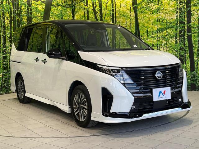 セレナ ハイウェイスターV 純正12インチナビ 純正エアロ プロパイロット 両側電動ドア 後席モニター 全周囲カメラ 衝突被害軽減システム レーダークルーズ 禁煙車 コーナーセンサー スマートキー LEDヘッド ビルトインETC(17枚目)