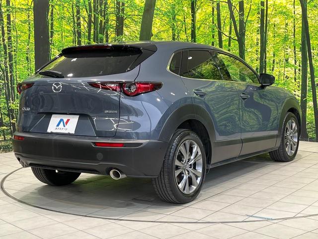 CX-30 X プロアクティブ ツーリングセレクション 純正8型ナビ 全周囲カメラ 禁煙車 衝突被害軽減システム レーダークルーズ 電動リアゲート パワーシート コーナーセンサー スマートキー LEDヘッド オートハイビーム 車線逸脱警報 オートライト(17枚目)