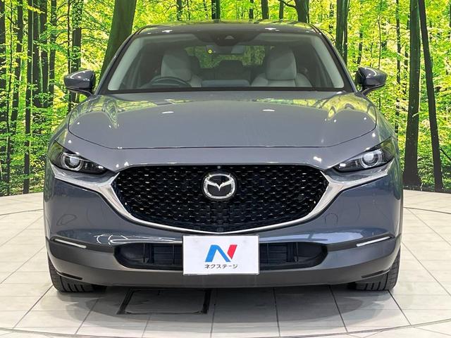CX-30 X プロアクティブ ツーリングセレクション 純正8型ナビ 全周囲カメラ 禁煙車 衝突被害軽減システム レーダークルーズ 電動リアゲート パワーシート コーナーセンサー スマートキー LEDヘッド オートハイビーム 車線逸脱警報 オートライト(52枚目)