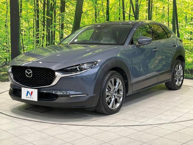 CX-30 X プロアクティブ ツーリングセレクション 純正8型ナビ 全周囲カメラ 禁煙車 衝突被害軽減システム レーダークルーズ 電動リアゲート パワーシート コーナーセンサー スマートキー LEDヘッド オートハイビーム 車線逸脱警報 オートライト(57枚目)