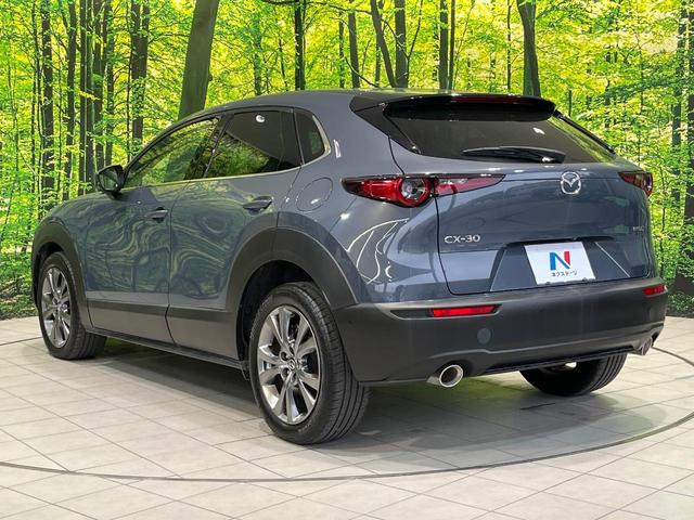 CX-30 X プロアクティブ ツーリングセレクション 純正8型ナビ 全周囲カメラ 禁煙車 衝突被害軽減システム レーダークルーズ 電動リアゲート パワーシート コーナーセンサー スマートキー LEDヘッド オートハイビーム 車線逸脱警報 オートライト(58枚目)