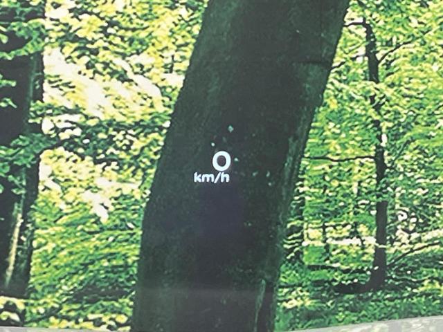 エクストレイル Ｇ　ｅ－４ＯＲＣＥ　純正１２型ナビ　全周囲カメラ　衝突被害軽減システム　禁煙車　電動リアゲート　レザーシート　ドラレコ　コーナーセンサー　スマートキー　ＬＥＤヘッド　ビルトインＥＴＣ　クルコン　純正１９インチアルミ（43枚目）