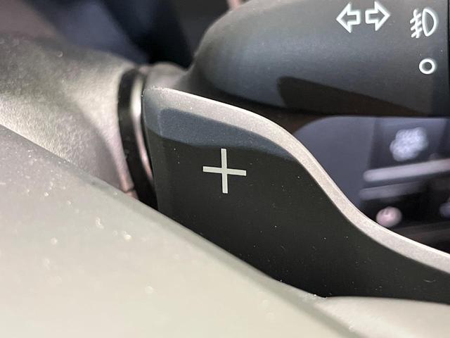 アルファードハイブリッド Ｚ　両側電動ドア　純正１４インチナビ　後席モニター　全周囲カメラ　衝突被害軽減システム　レーダークルーズ　禁煙車　電動リアゲート　レザーシート　前席シートエアコン　リアシートエアコン　前後席パワーシート（29枚目）