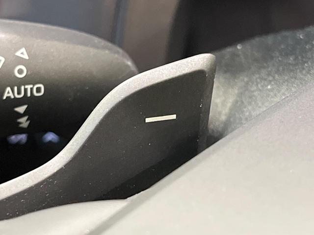 アルファードハイブリッド Ｚ　両側電動ドア　純正１４インチナビ　後席モニター　全周囲カメラ　衝突被害軽減システム　レーダークルーズ　禁煙車　電動リアゲート　レザーシート　前席シートエアコン　リアシートエアコン　前後席パワーシート（32枚目）