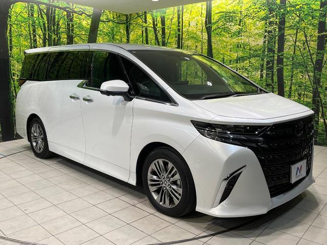 アルファードハイブリッド Ｚ　両側電動ドア　純正１４インチナビ　後席モニター　全周囲カメラ　衝突被害軽減システム　レーダークルーズ　禁煙車　電動リアゲート　レザーシート　前席シートエアコン　リアシートエアコン　前後席パワーシート（71枚目）