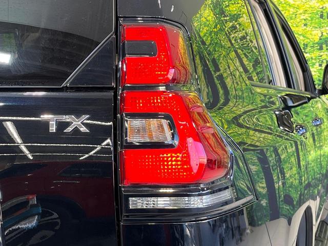 ランドクルーザープラド ＴＸ　Ｌパッケージ　マットブラックエディション　純正９型ナビ　全周囲カメラ　サンルーフ　衝突被害軽減システム　レーダークルーズ　禁煙車　前席シートエアコン　ドラレコ　コーナーセンサー　ＬＥＤヘッド　ＥＴＣ２．０（29枚目）