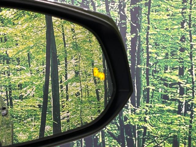 ＲＡＶ４ アドベンチャー　オフロードパッケージ　４ＷＤ　バックカメラ　衝突被害軽減システム　レーダークルーズ　禁煙車　パワーシート　ドラレコ　コーナーセンサー　スマートキー　ＬＥＤヘッド　ビルトインＥＴＣ　純正１８インチアルミ　車線逸脱警報（51枚目）