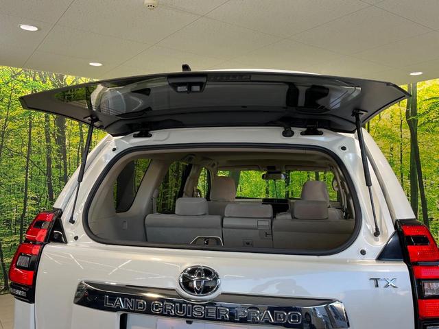 ランドクルーザープラド TX サンルーフ 純正9型ナビ バックカメラ 衝突被害軽減 ルーフレール レーダークルーズ 禁煙車 スマートキー LEDヘッド ビルトインETC 純正17インチアルミ(48枚目)
