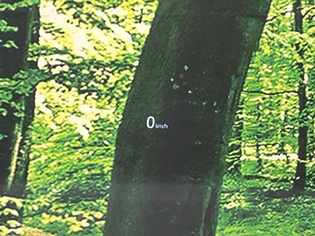 ＣＸ－８ ＸＤプロアクティブ　７人乗り　ＳＤナビ　全周囲カメラ　衝突被害軽減システム　レーダークルーズ　禁煙車　電動リアゲート　パワーシート　コーナーセンサー　スマートキー　ＬＥＤヘッド　ルーフレール（24枚目）