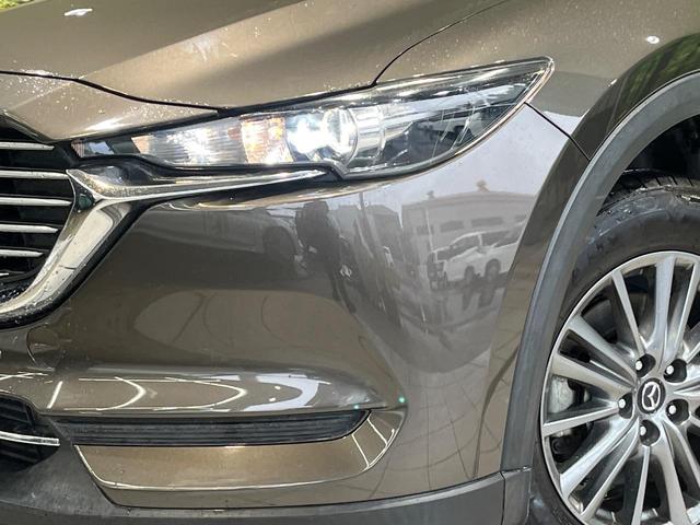 �y�k�d�c�w�b�h���C�g�z���V����ԑ��s�����ǍD�Ȏ��E���m�ۂ����S���ĉ^�]�ł��鍂�P�x�k�d�c�w�b�h���C�g�𑕔��I�_�����x�������A����d�͂��}�����Ă��܂��B