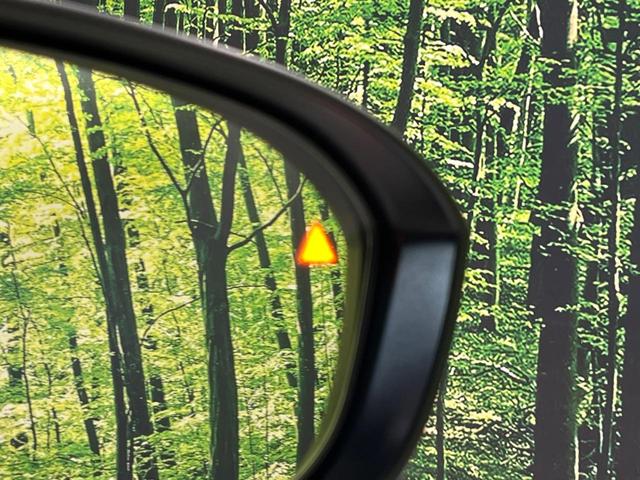 セレナ ハイウェイスターV エアロ 純正12型ナビ 両側電動ドア 後席モニター 全周囲カメラ 衝突被害軽減 禁煙車 ドラレコ コーナーセンサー スマートキー LED ETC 純正16インチアルミ オートハイビーム(9枚目)