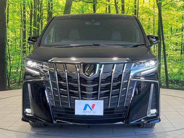 アルファード ２．５Ｓ　タイプゴールドＩＩ　純正１２インチナビ　両側電動ドア　バックカメラ　衝突被害軽減システム　レーダークルーズ　禁煙車　電動リアゲート　ハーフレザーシート　コーナーセンサー　スマートキー　ＥＴＣ２．０　純正１８インチアルミ（67枚目）