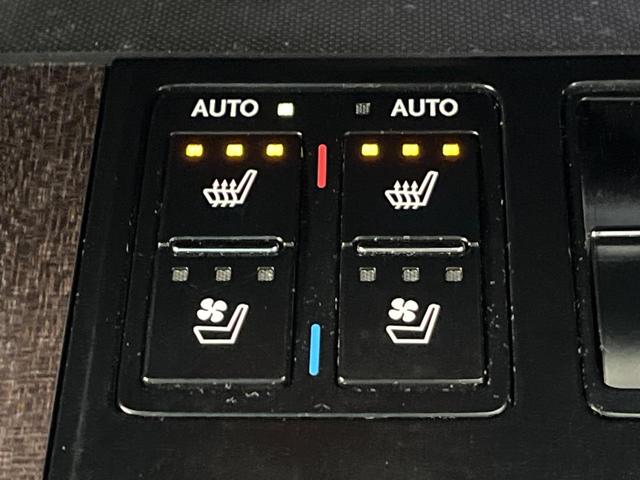 �y�V�[�g�x���`���[�V�����z�ď�͗��������ł��K��w���̔M�⃀����h���A�~�̓G�A�R�������������܂��ă|�J�|�J�ɁI�G�߂��킸���K�ɉ߂����܂��B